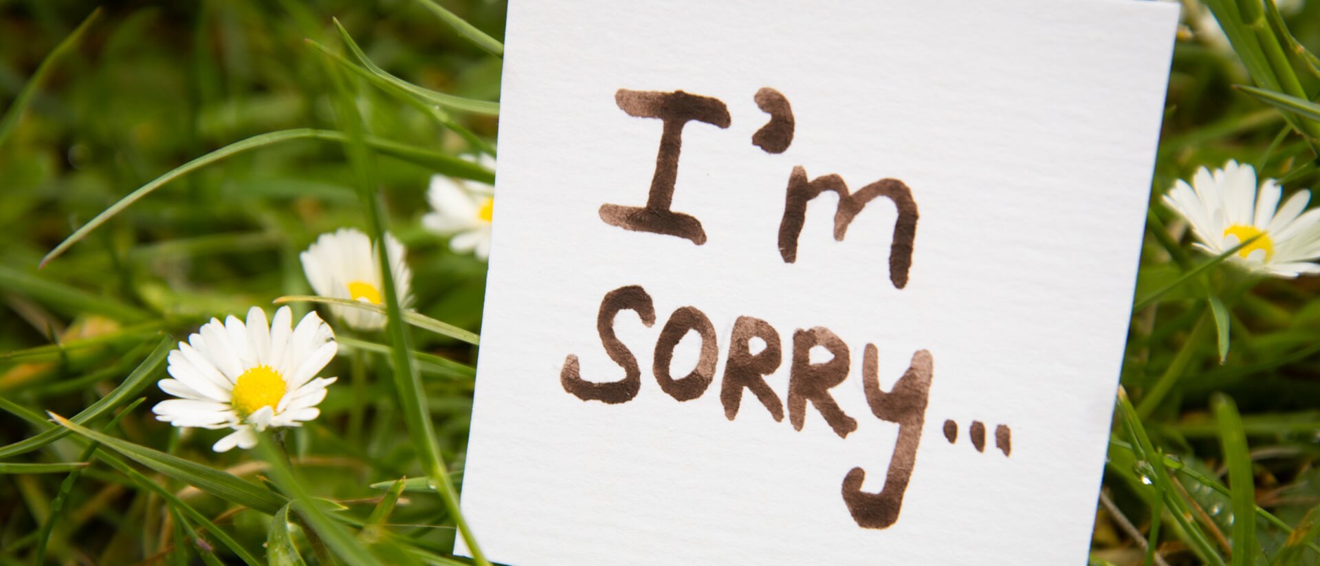 Когда excuse me, а когда I’m sorry – как правильно извиниться по-английски?